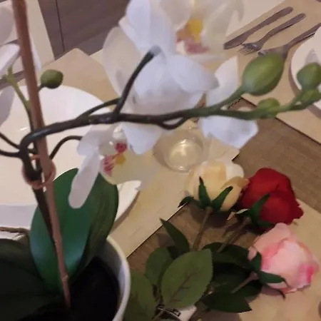 別荘 La Casa Re Basuli ノート